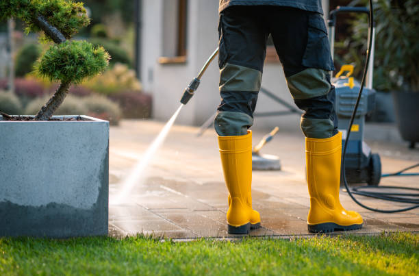 Best Affordable Power Washing  in Willow Park, TX